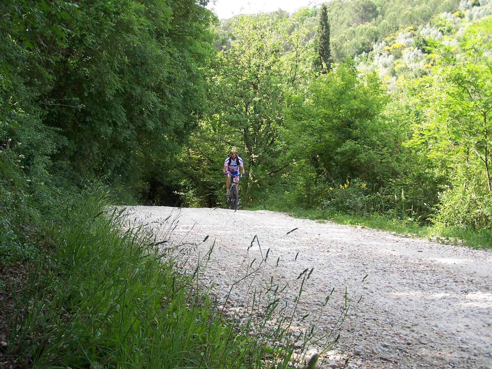 Ciclista in allenamento su un sentiero sterrato nel bosco in Toscana